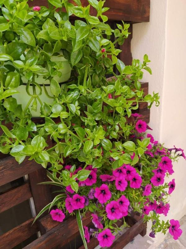Epidaurus Art Apartment מראה חיצוני תמונה